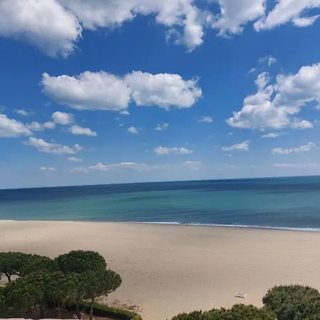 דירה T2 Confortable Avec Piscine, Tennis, A 500m De La D'argeles-sur-mer, Pour 4 Pers - Fr-1-776-41
