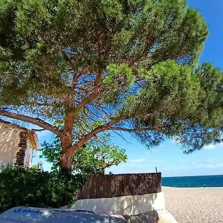 דירה T2 Confortable Avec Piscine, Tennis, A 500m De La D'argeles-sur-mer, Pour 4 Pers - Fr-1-776-41 *