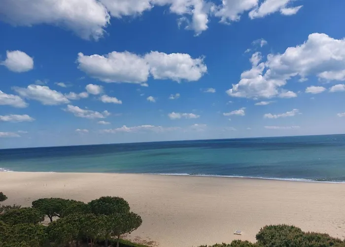 شقة T2 Confortable Avec Piscine, Tennis, A 500m De La D'argeles-sur-mer, Pour 4 Pers - Fr-1-776-41