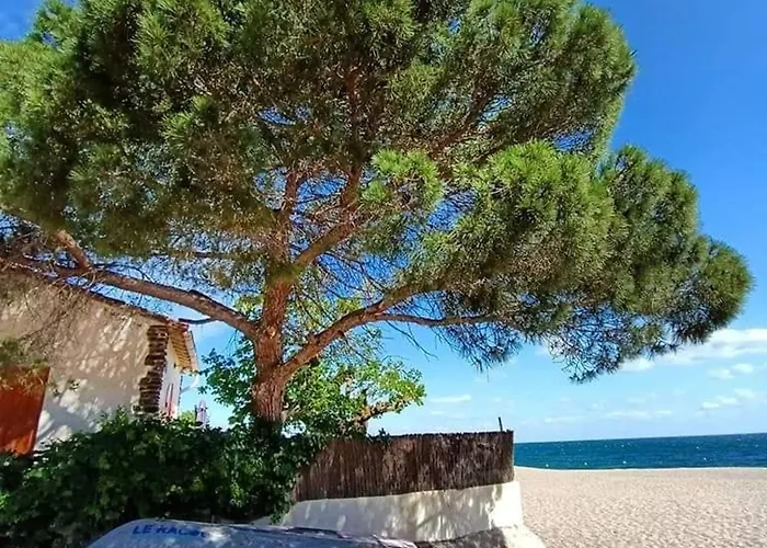 شقة T2 Confortable Avec Piscine, Tennis, A 500m De La D'argeles-sur-mer, Pour 4 Pers - Fr-1-776-41 *